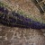 Inside our lavender drying barn