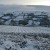 Snow protects our new lavender field from the cold
