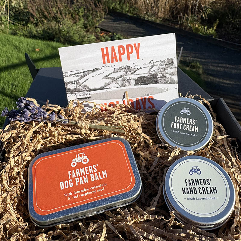 Their Paws and Yours gift set with Dog Paw Balm, Hand Cream and Foot Cream