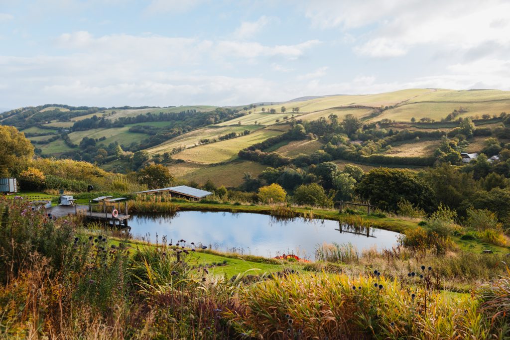 Farmers' Welsh Lavender farm with view of pond and valley
