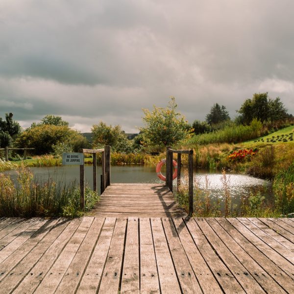 Deck of the swimming pond